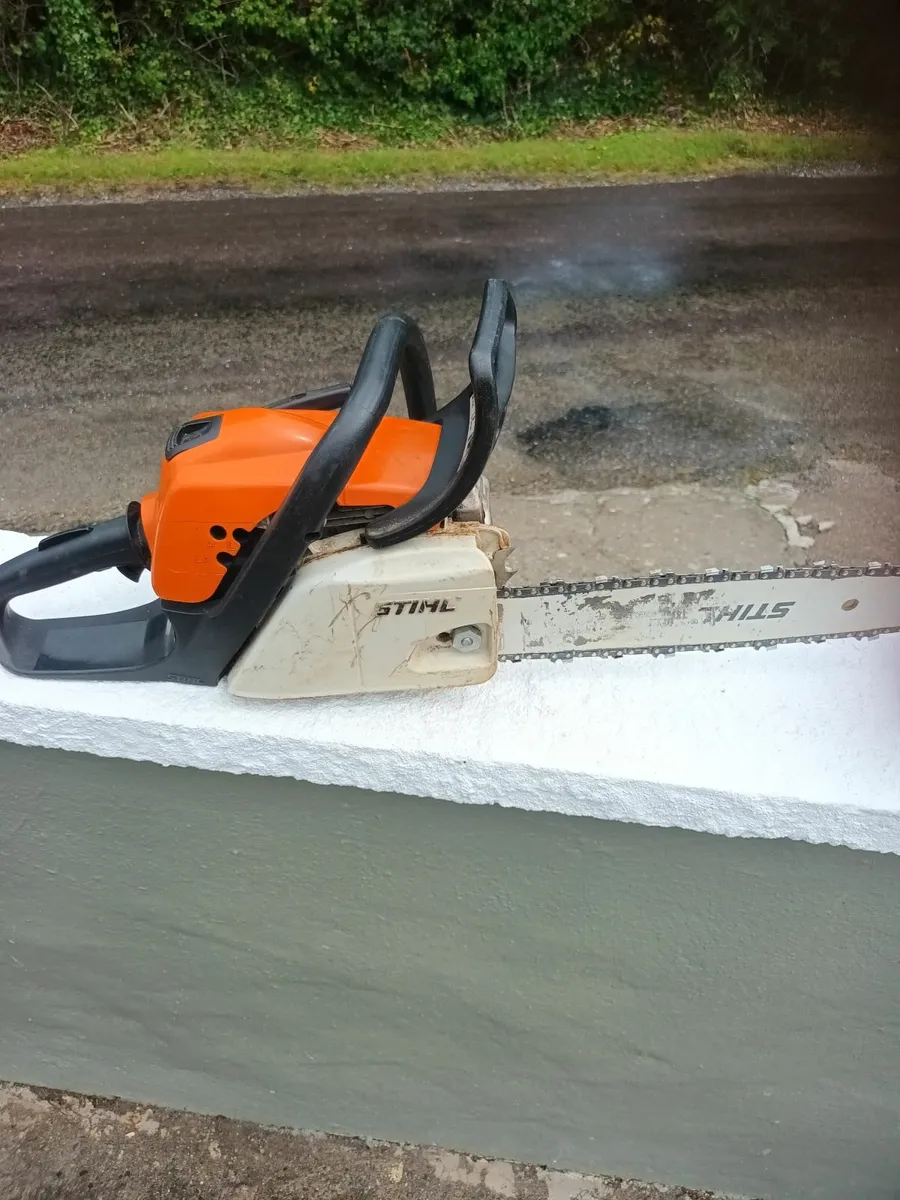 Chainsaw - Image 2