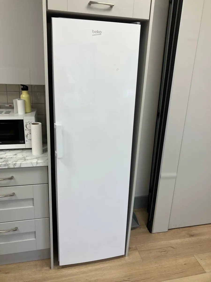 Fridge Free Standing - Image 1