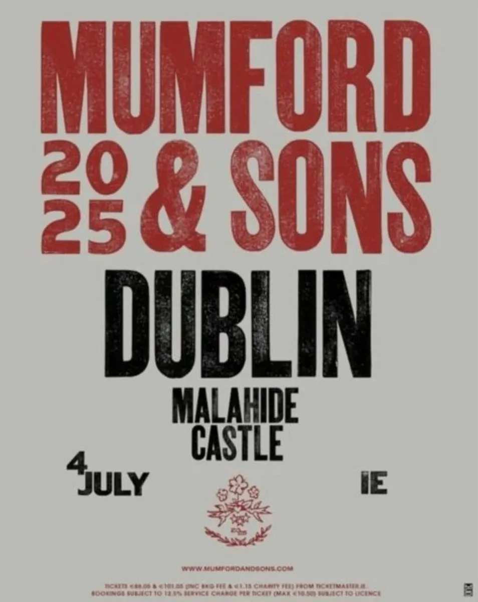 Mumford and sons Ticket x2 - Image 1