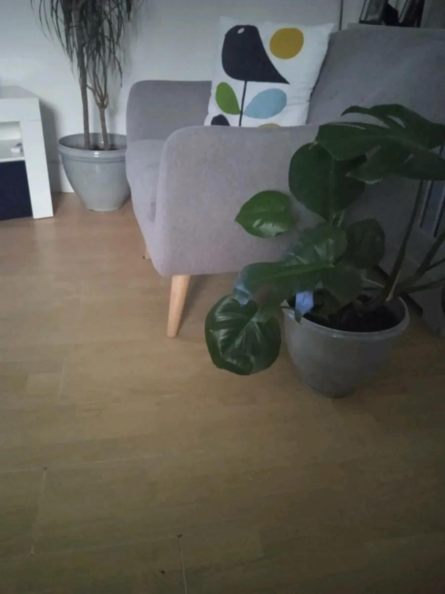 Armchair - Image 3