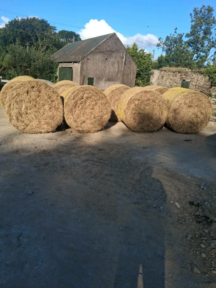 HAY FOR SALE