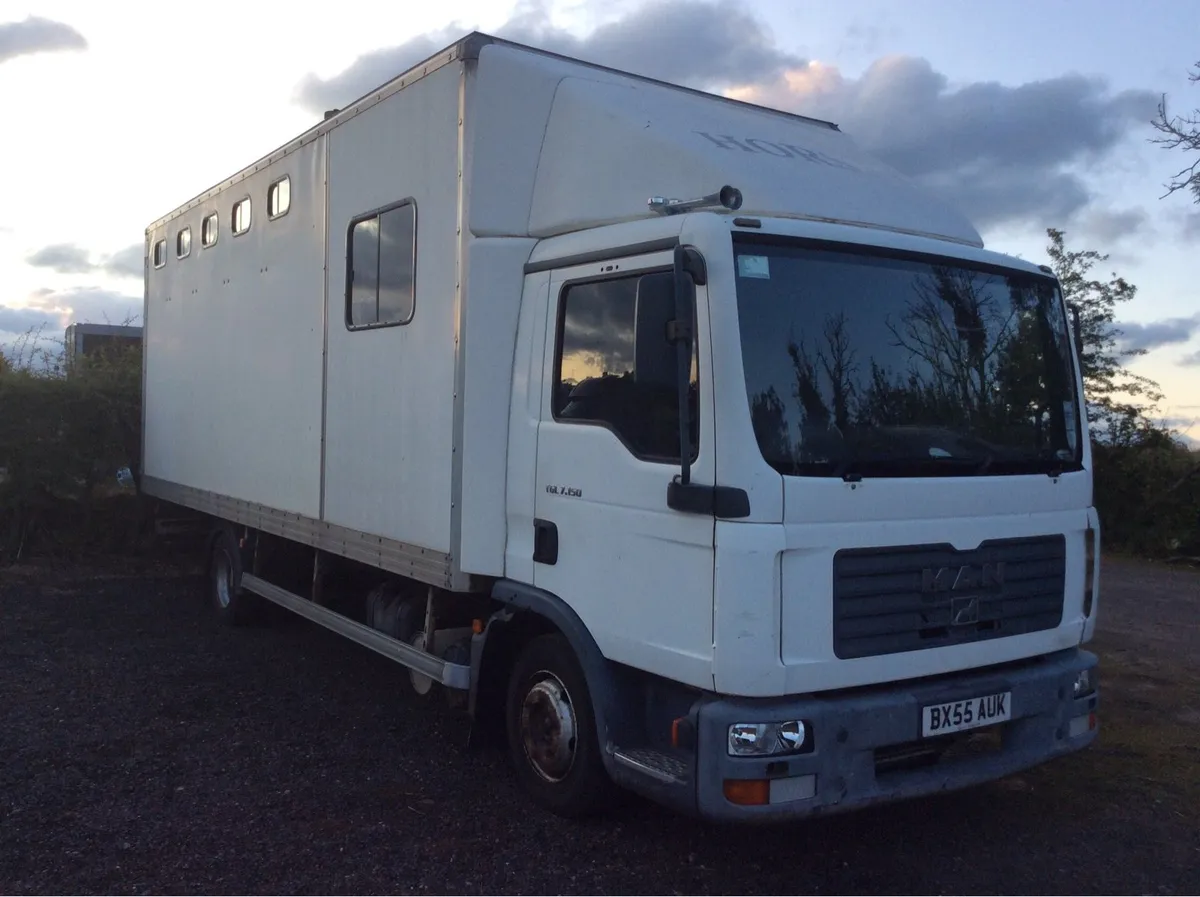 Horse lorry - Image 2