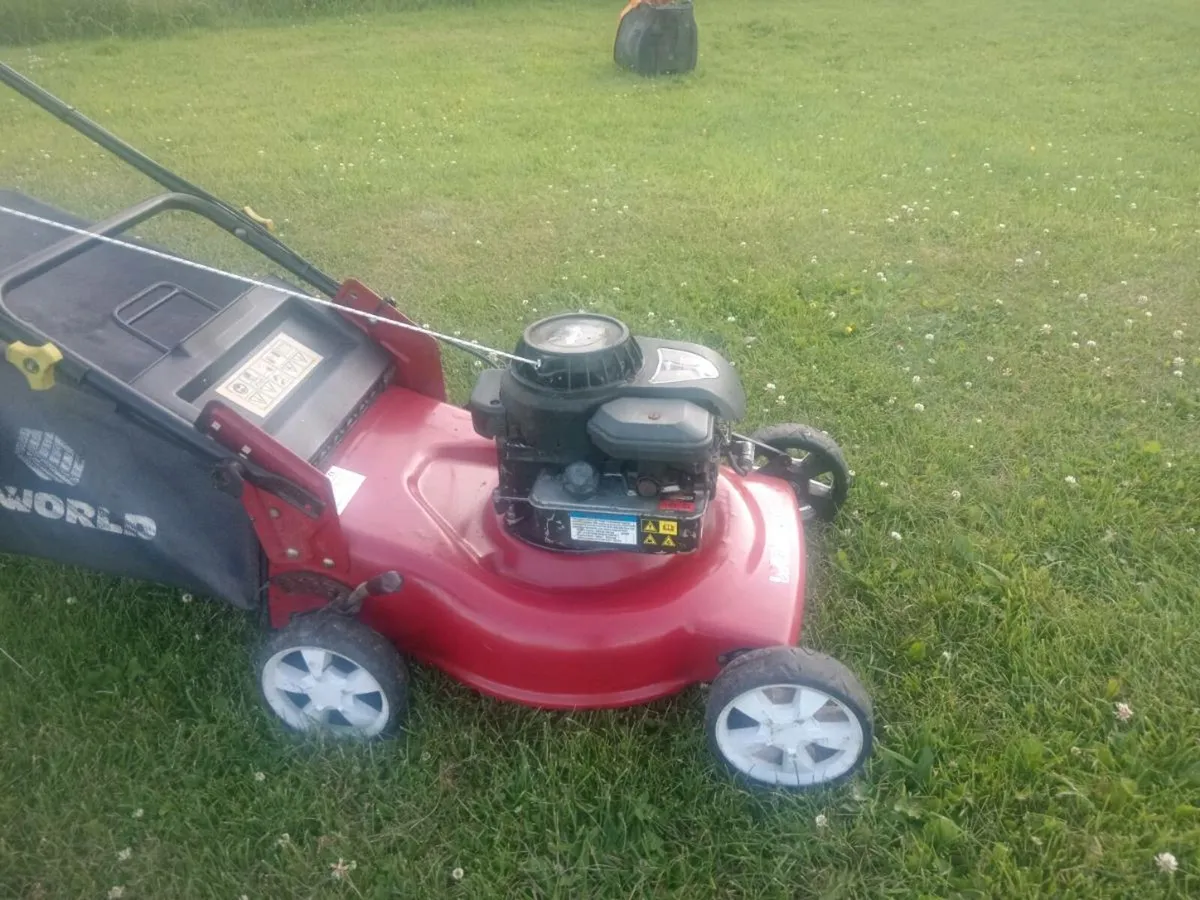 Lawnmowers - Image 1