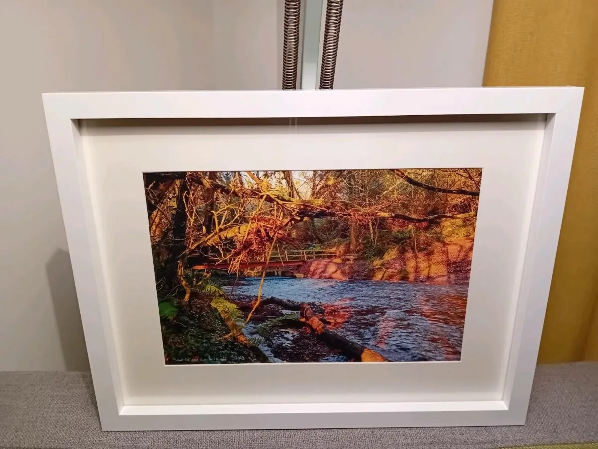 Glenbower Woods, Killeagh - Image 2