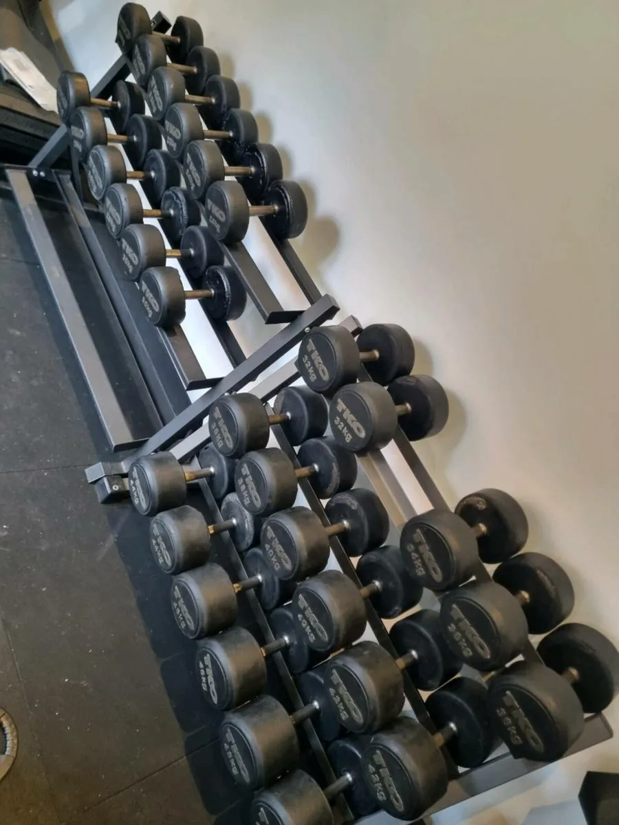 Dumbbells and rack - Image 2