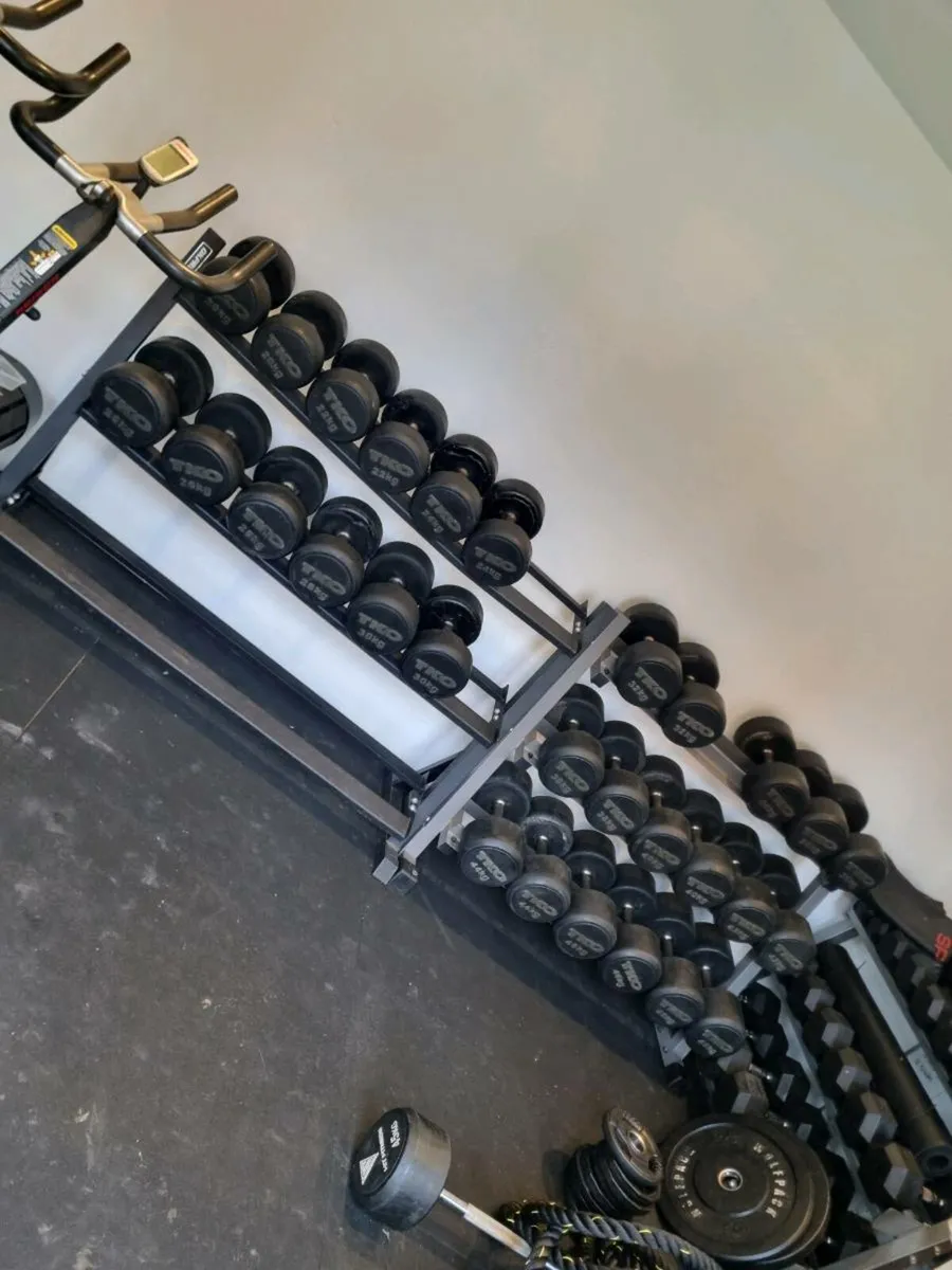 Dumbbells and rack - Image 1