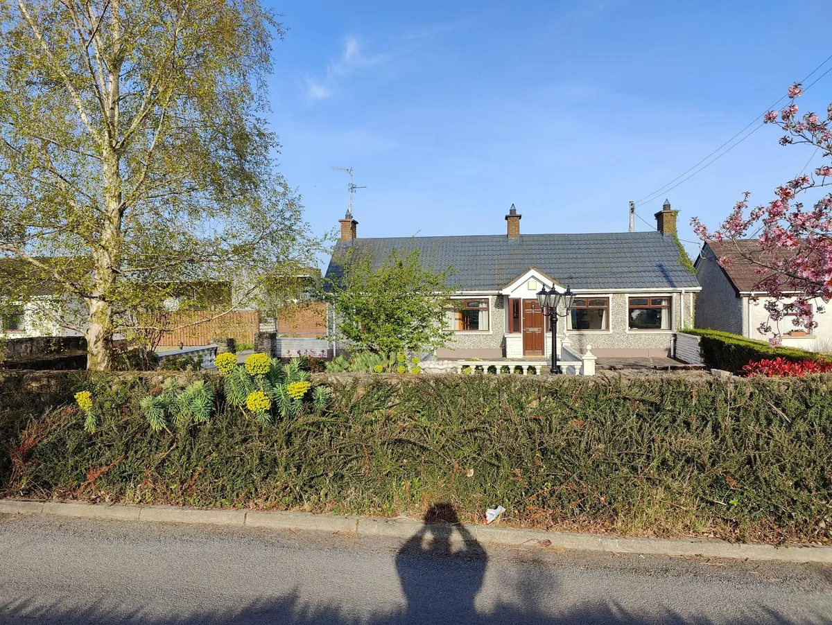 House to let - Image 3