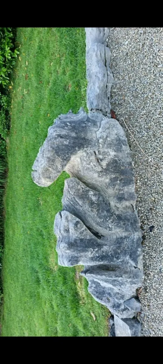 Horse shape stone