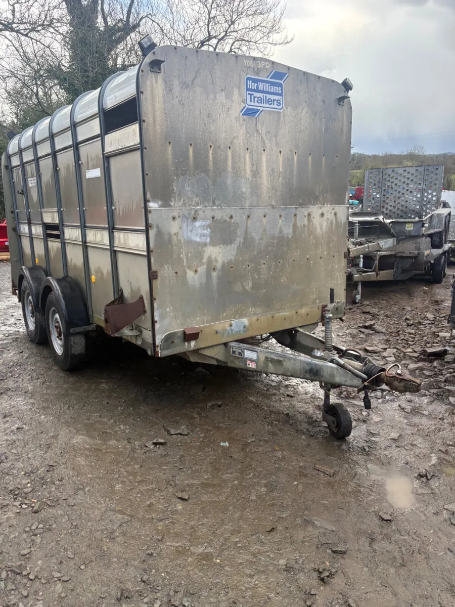 Ifor Williams 12ft cattle trailer - Image 1