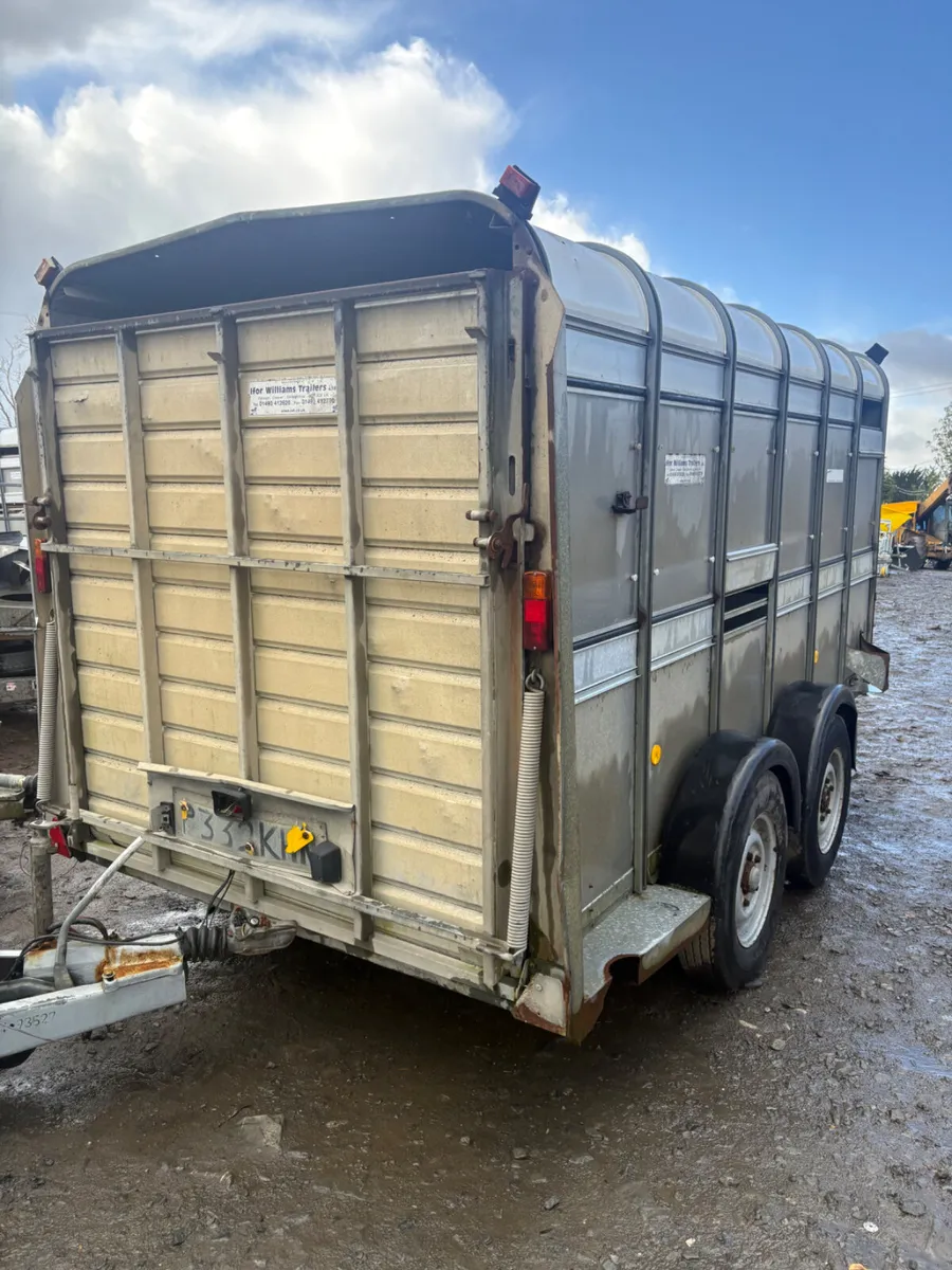 Ifor Williams 12ft cattle trailer - Image 2