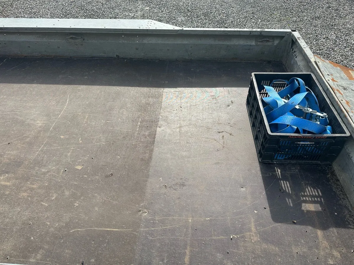 12x6 ft 1 plant trailer - Image 3