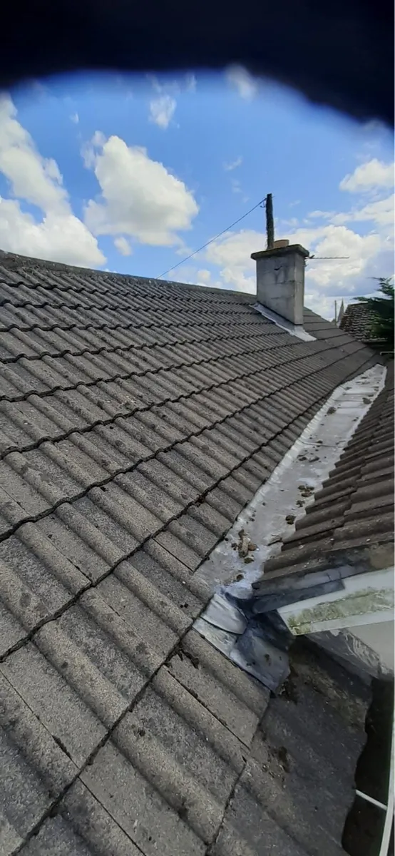 Roof tiles - Image 2