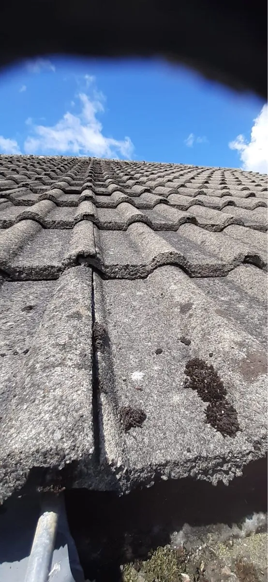 Roof tiles - Image 3