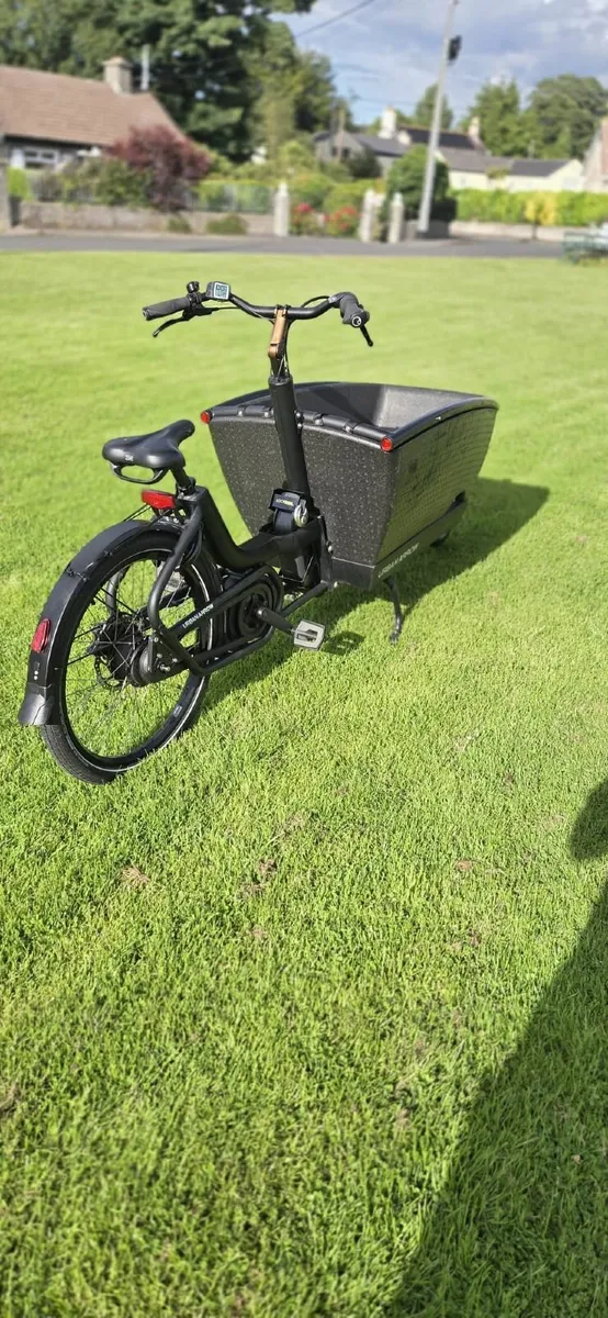 Urban Arrow Cargo bike - Excellent condition - Image 2