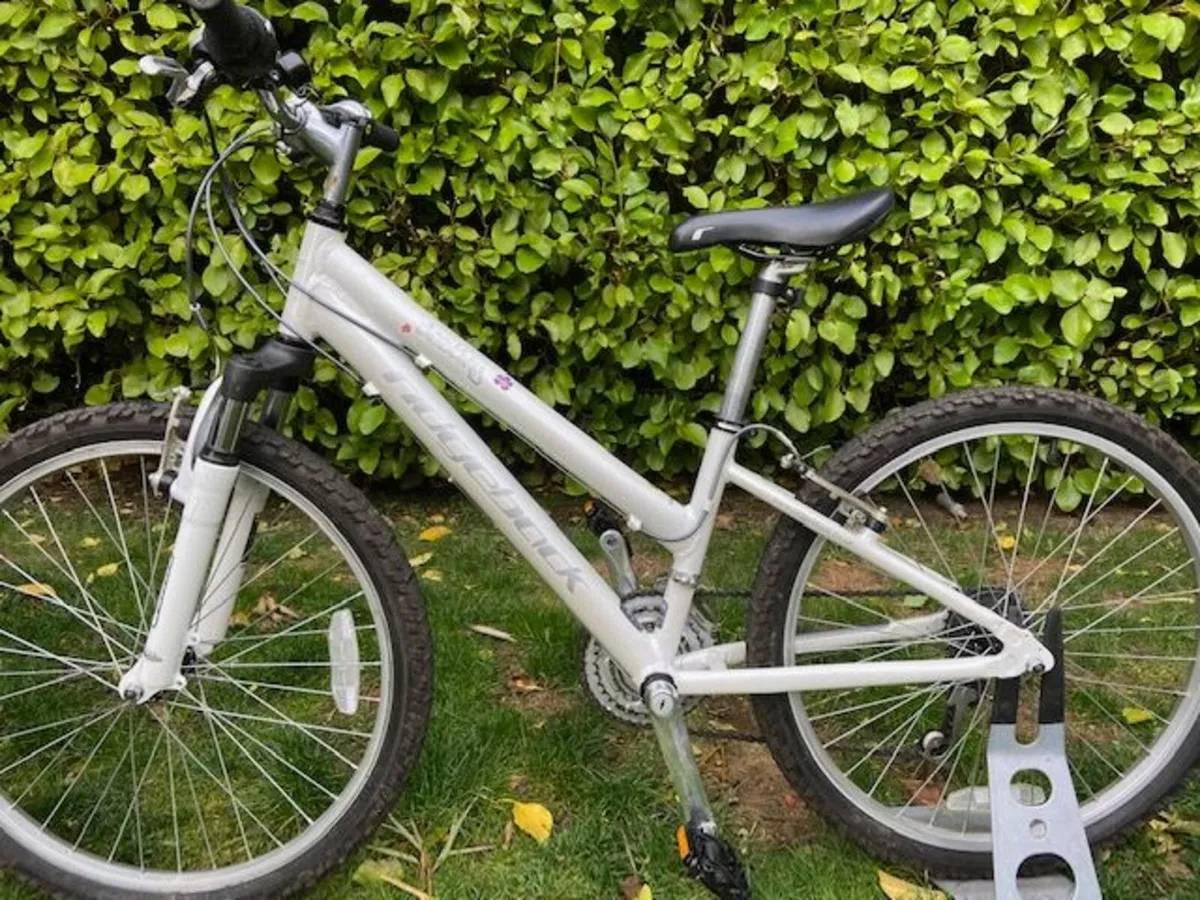 Kids bike - Image 1