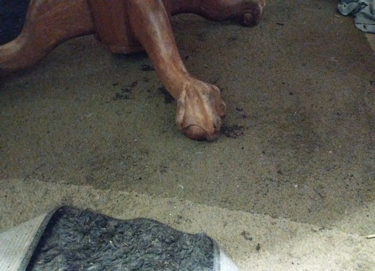 Unique Oak Table - Image 3