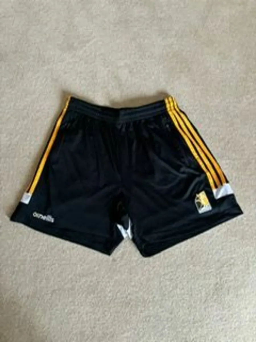 kilkenny Men's Shorts - medium - Image 3