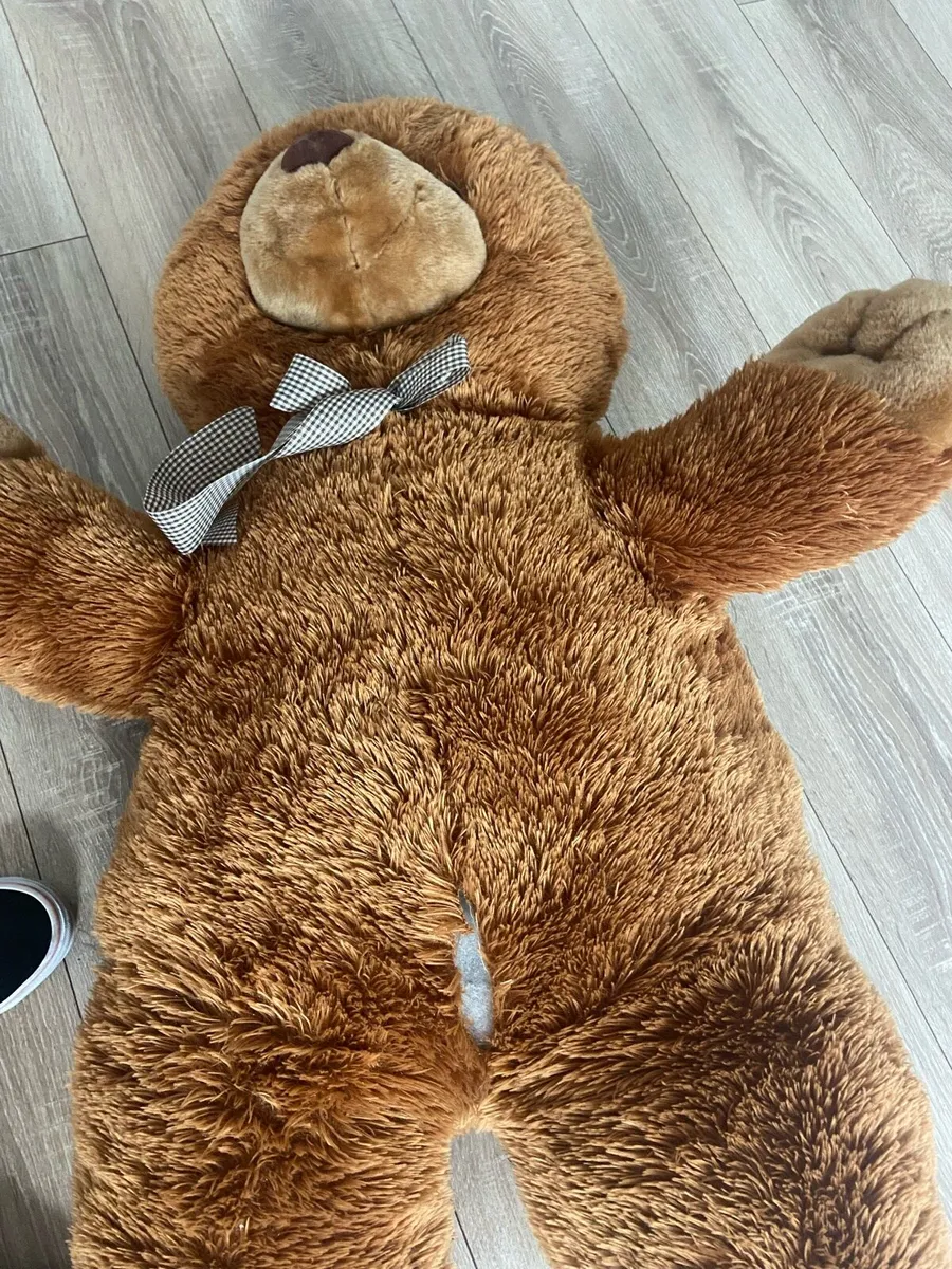 Teddy - Image 2