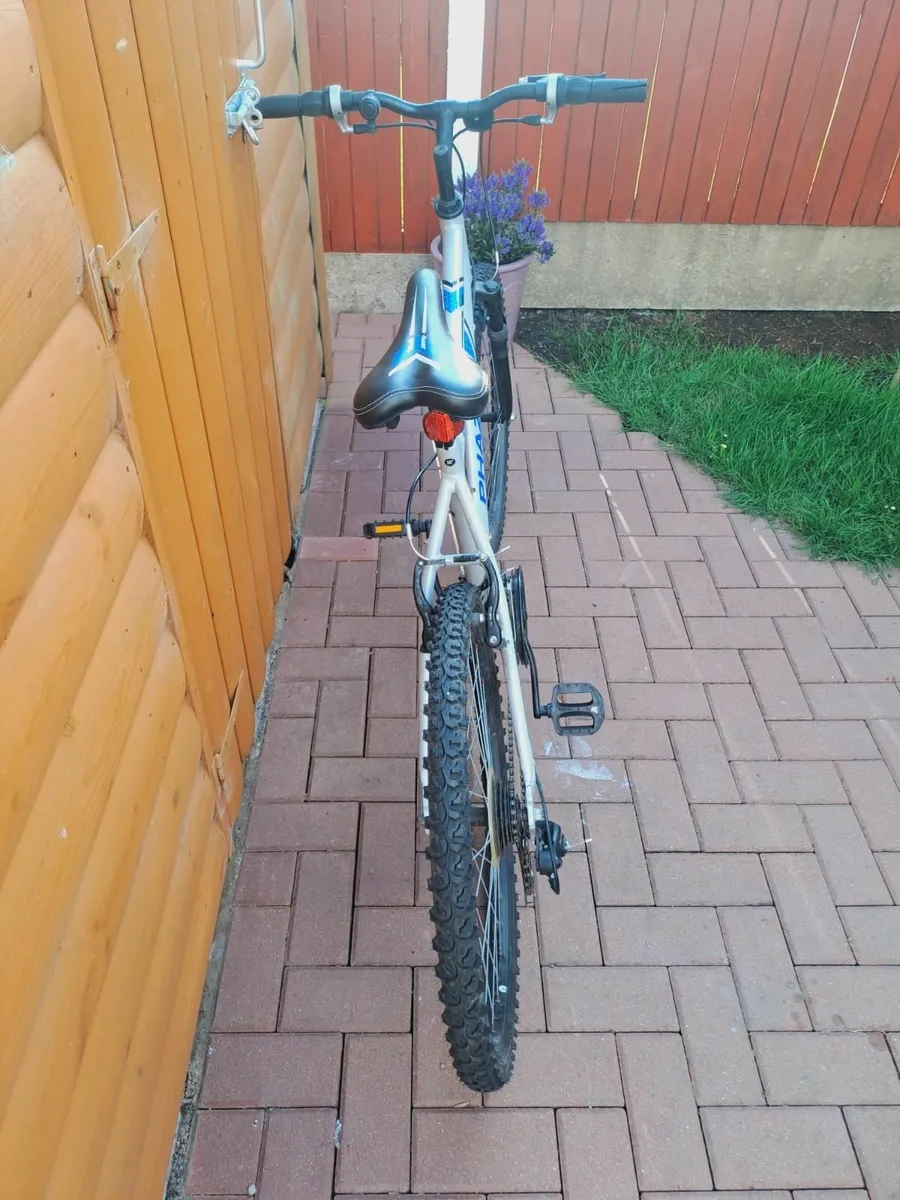 Bicycle - Image 2
