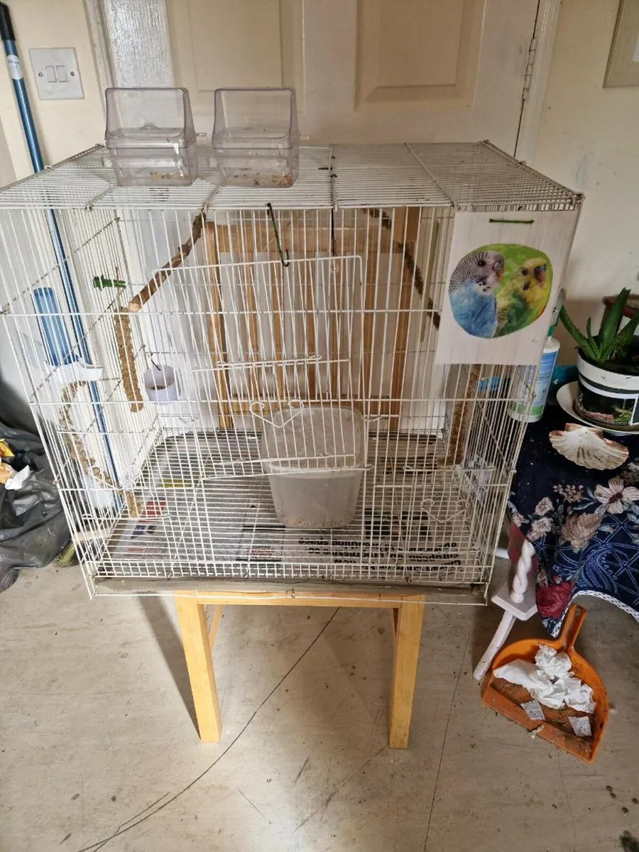 Bird cage. - Image 3