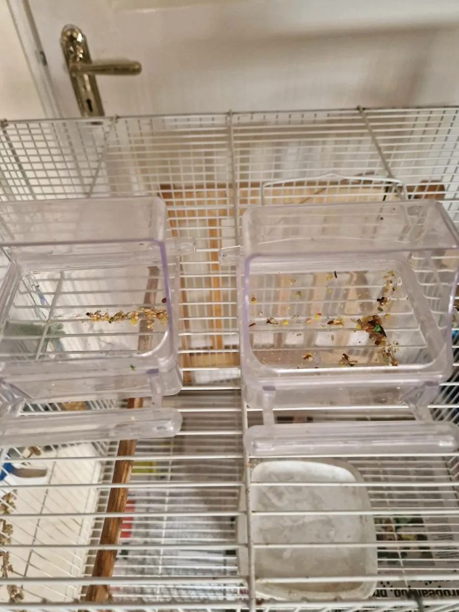 Bird cage. - Image 4