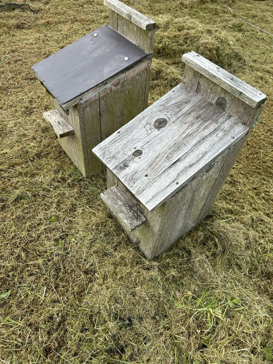 Mandarin duck nest boxes - Image 1
