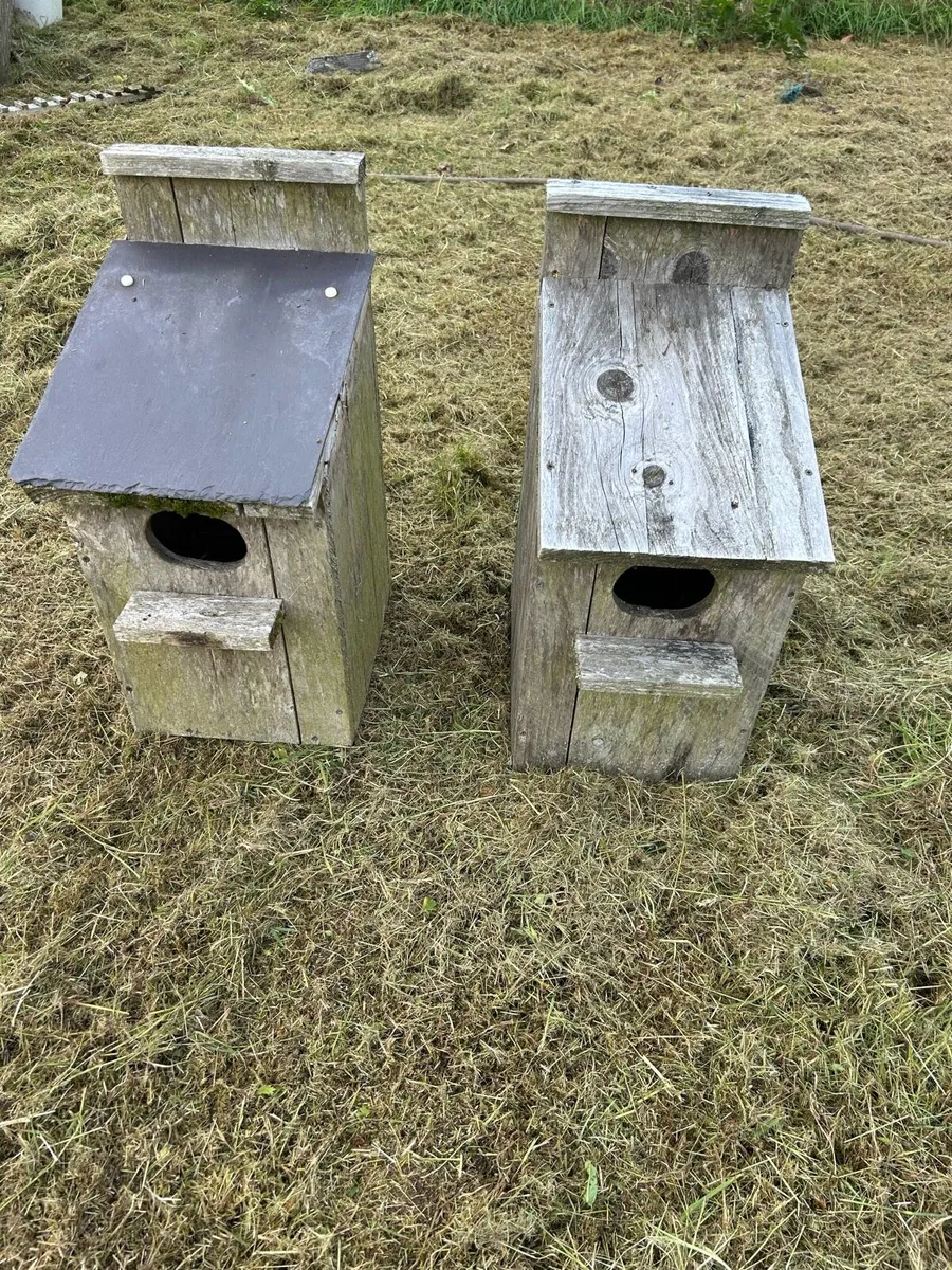 Mandarin duck nest boxes - Image 2