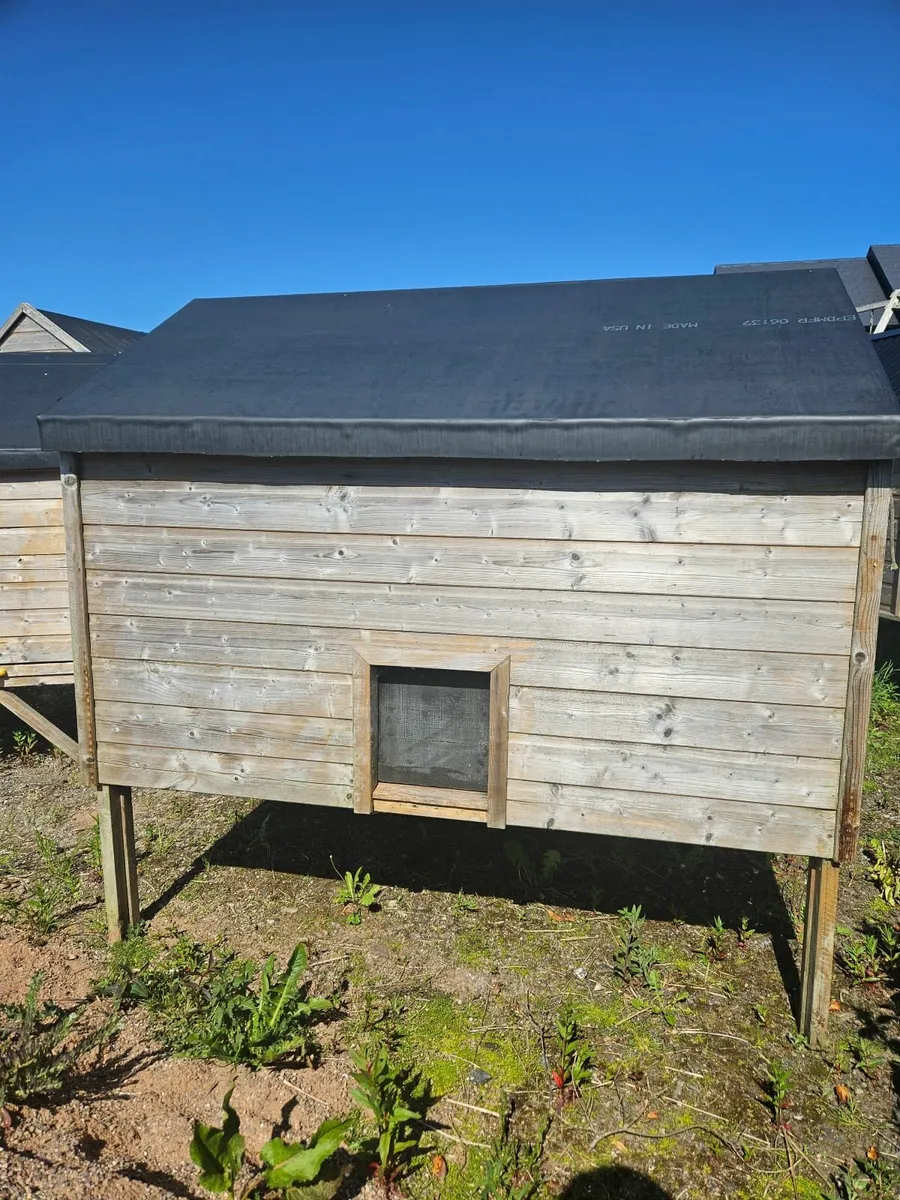 Chicken Coop - Image 4
