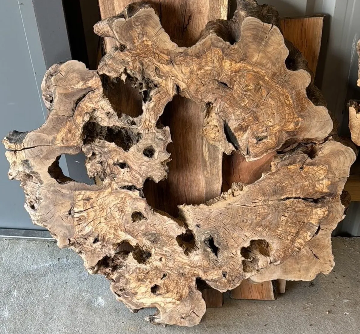 Turkish Olive Wood & Black Walnut slab - Image 2