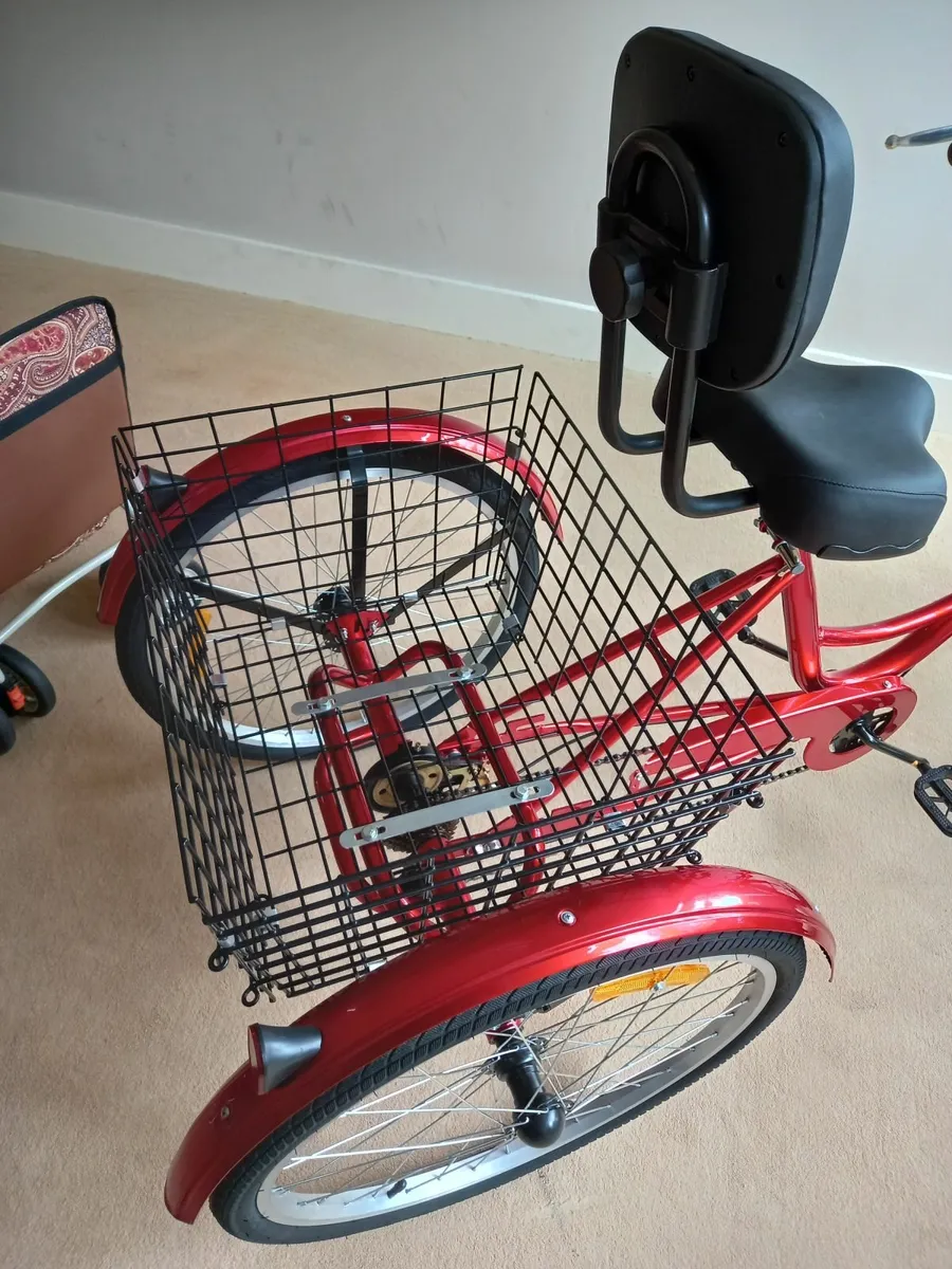 Adult tricycle - Image 2