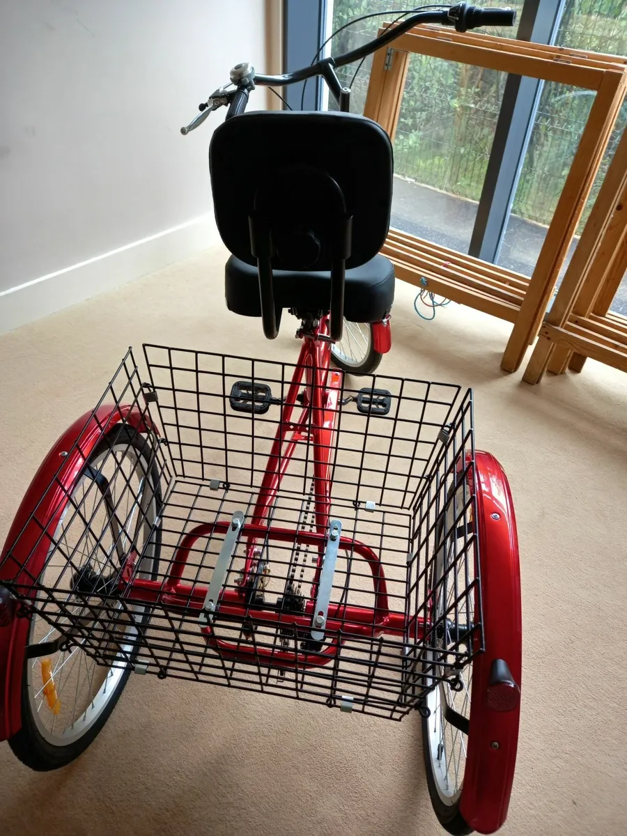Adult tricycle - Image 3