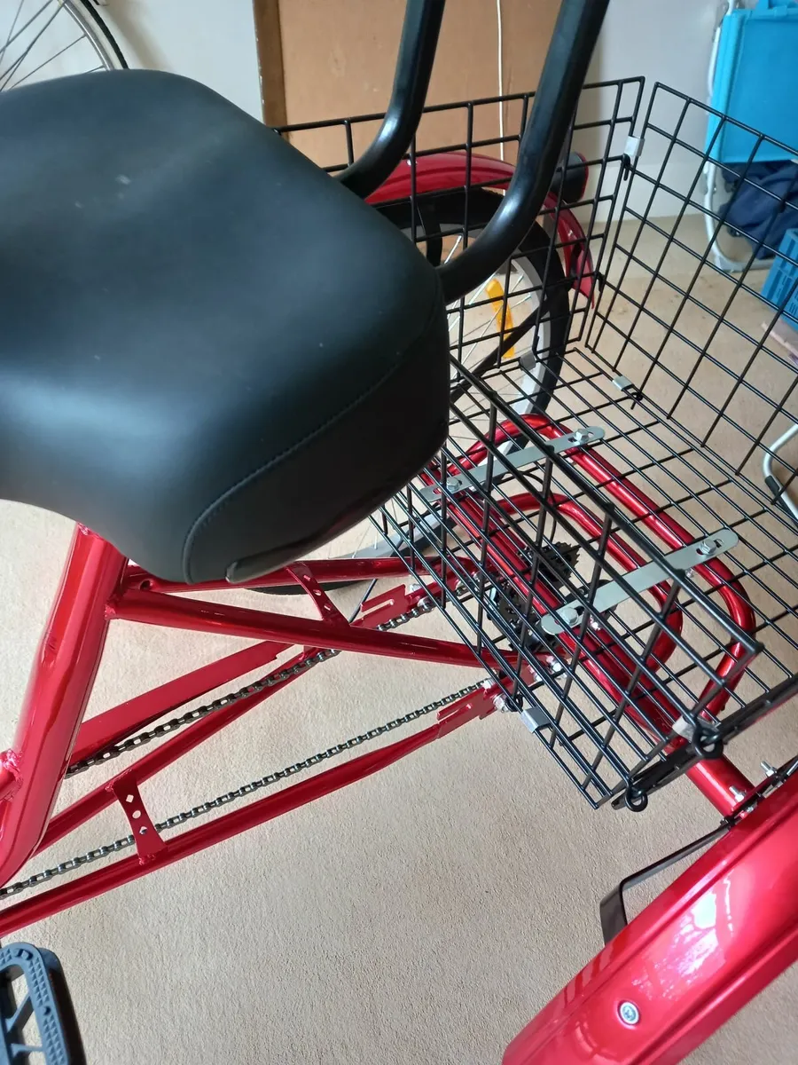 Adult tricycle - Image 4