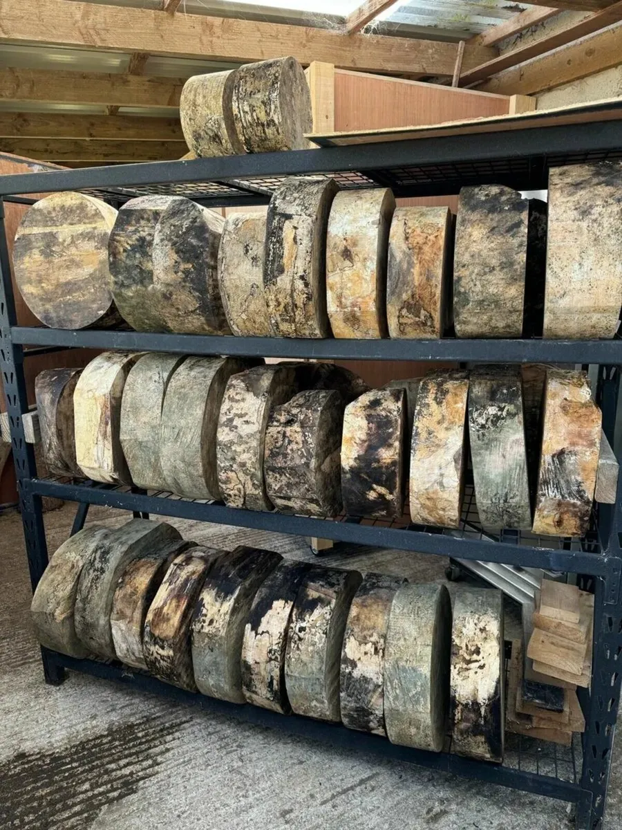 Kiln dried Spalted Beech Woodturning Blanks - Image 1