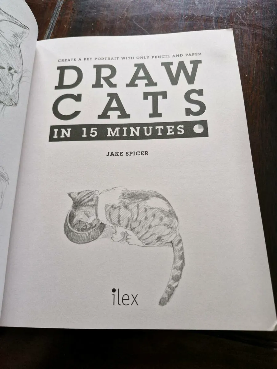 Price includes p&p 

Draw Cats in 15 minutes - Image 2