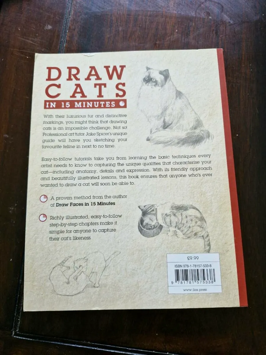 Price includes p&p 

Draw Cats in 15 minutes - Image 3