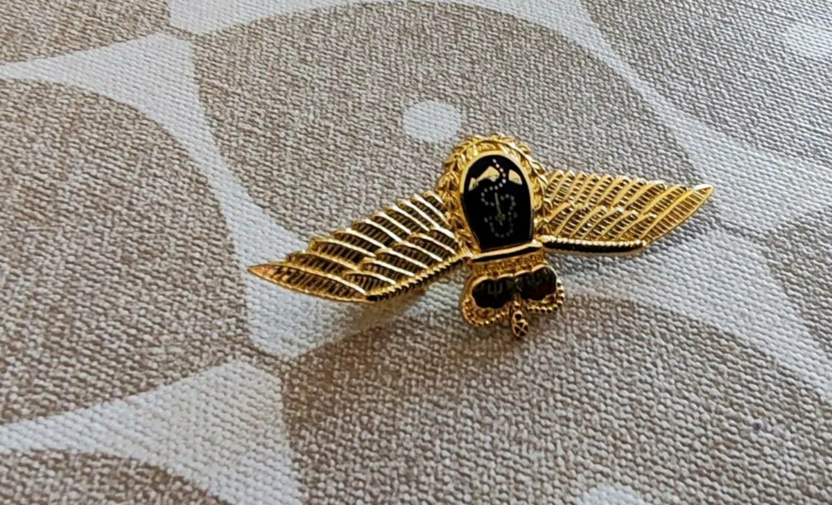 Retro style brooch - Image 1