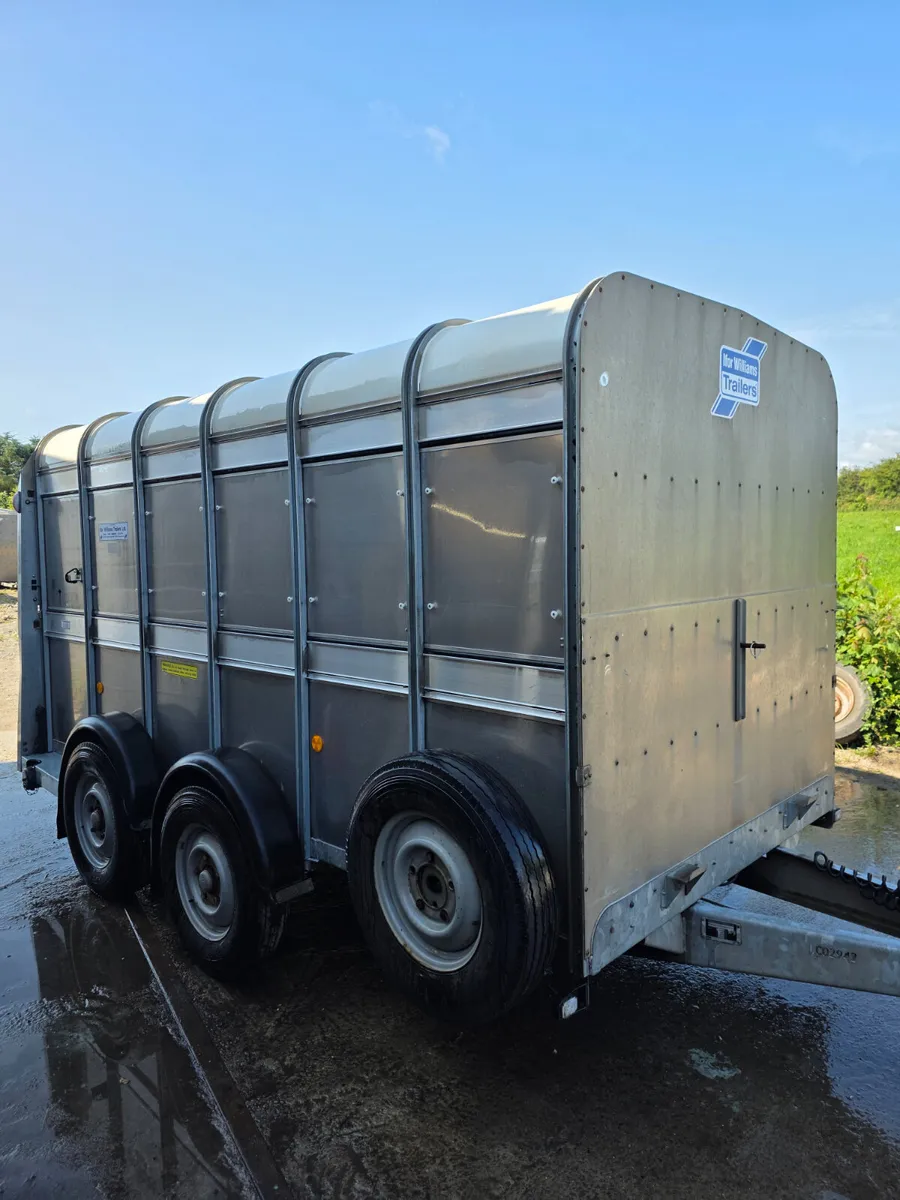 As new 12ft ifor Williams with sheep decks - Image 1