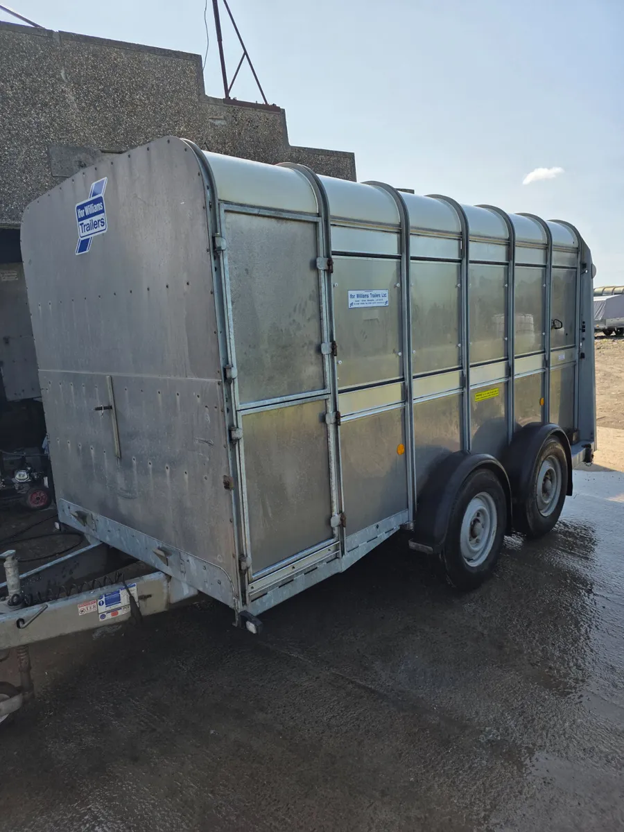 As new 12ft ifor Williams with sheep decks - Image 2