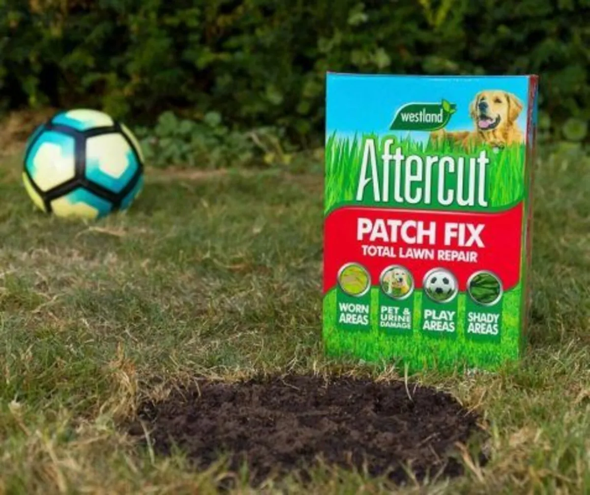 Lawn Care - Lawn Patch Fix - Image 1