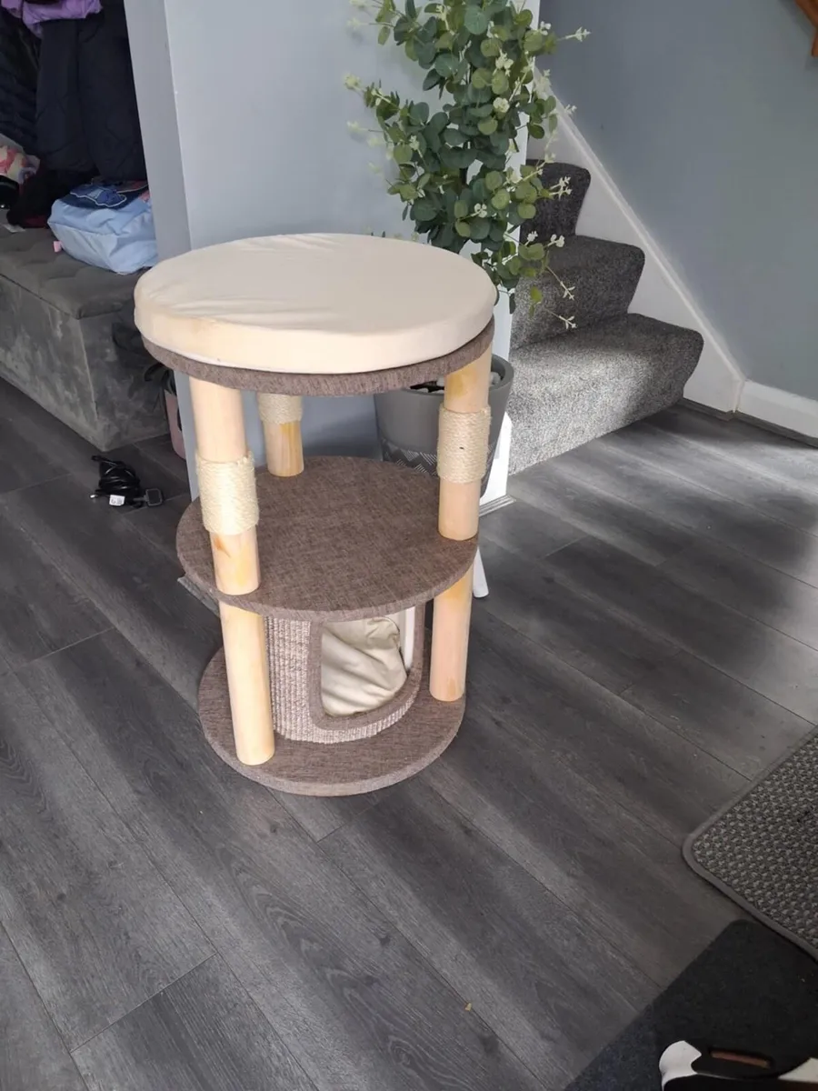 Cat scratcher