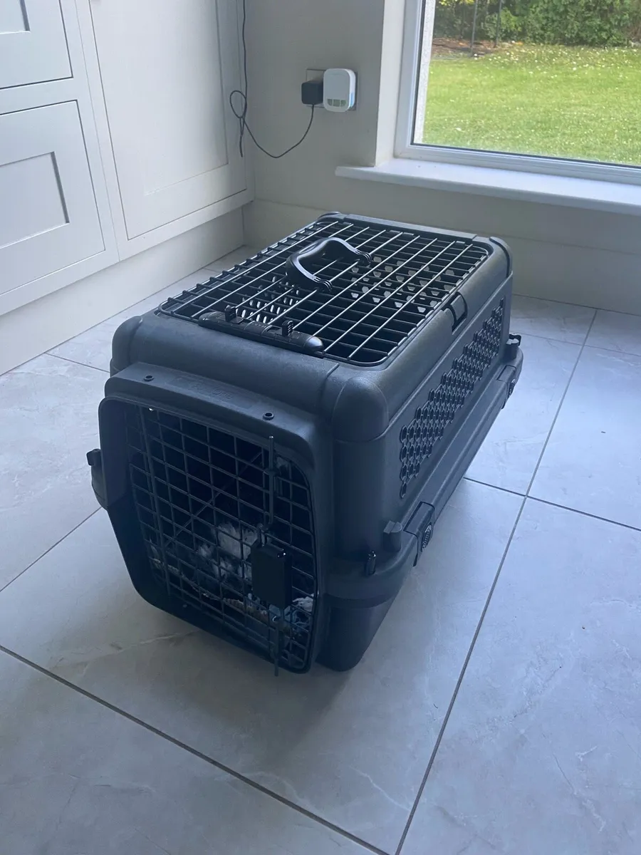Pet Dog Transport Box - Image 2