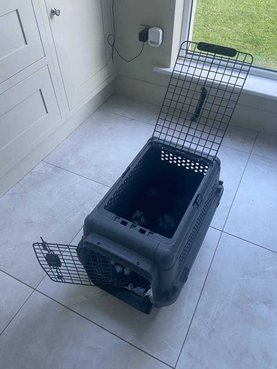 Pet Dog Transport Box - Image 3