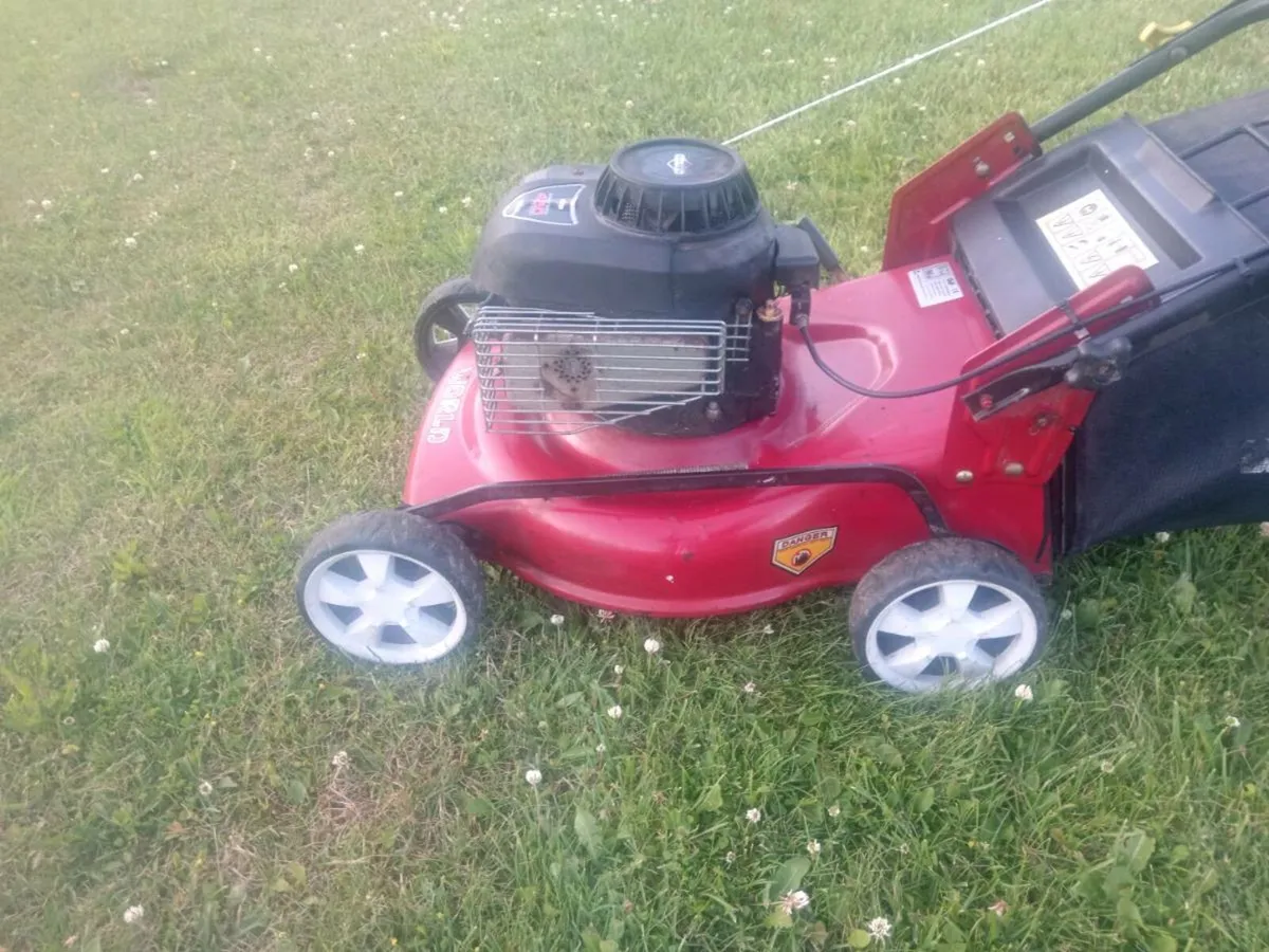 Lawnmowers - Image 4