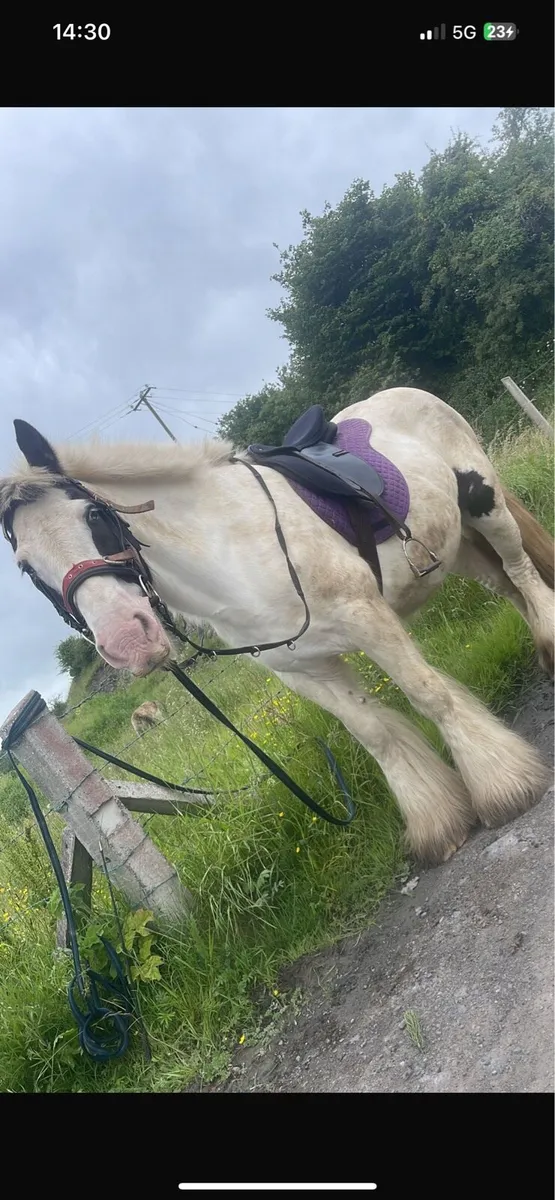14/3 cob ride and drive - Image 2
