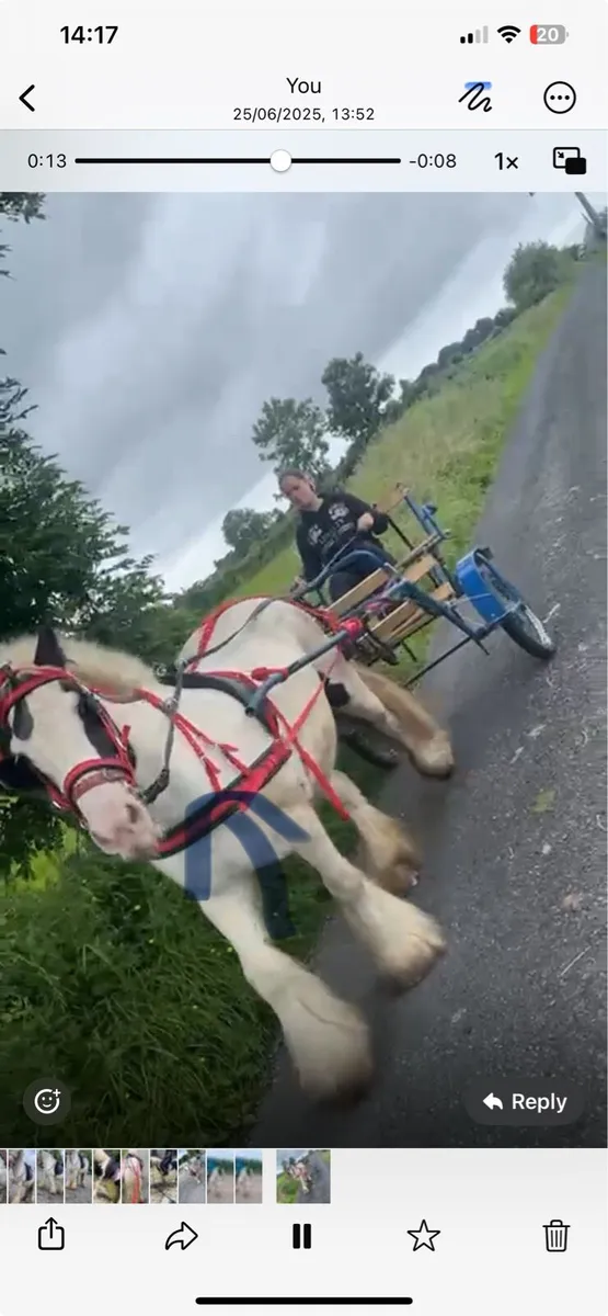 14/3 cob ride and drive - Image 3