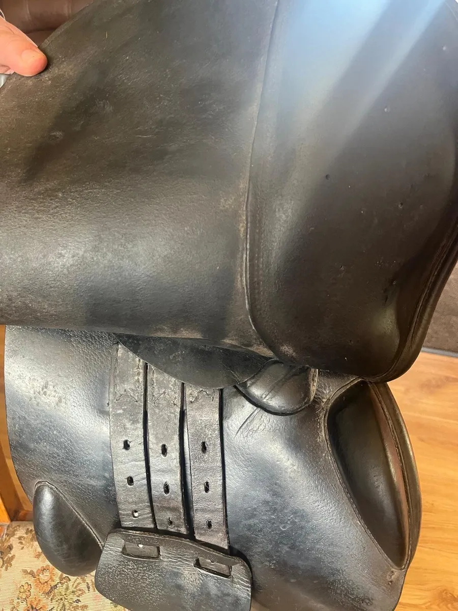 Saddle - Image 2