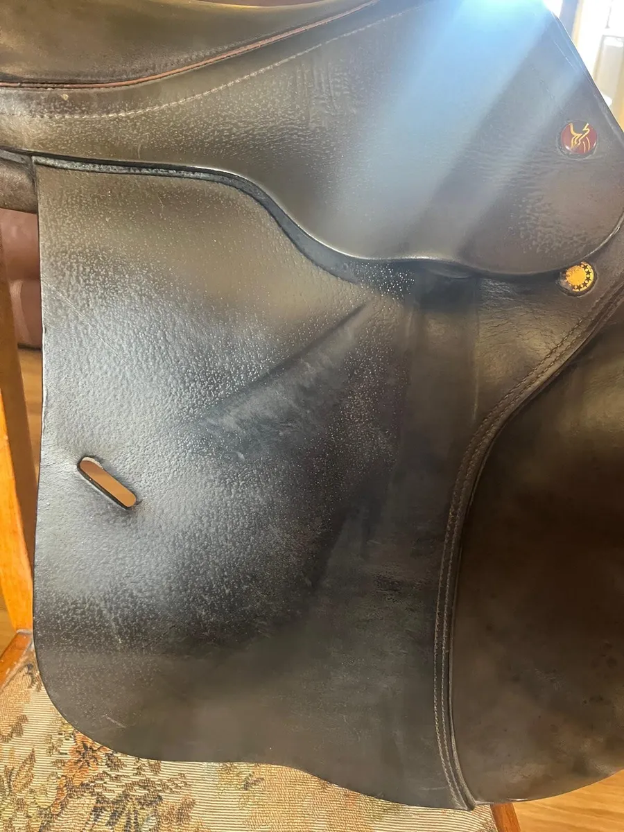 Saddle - Image 3