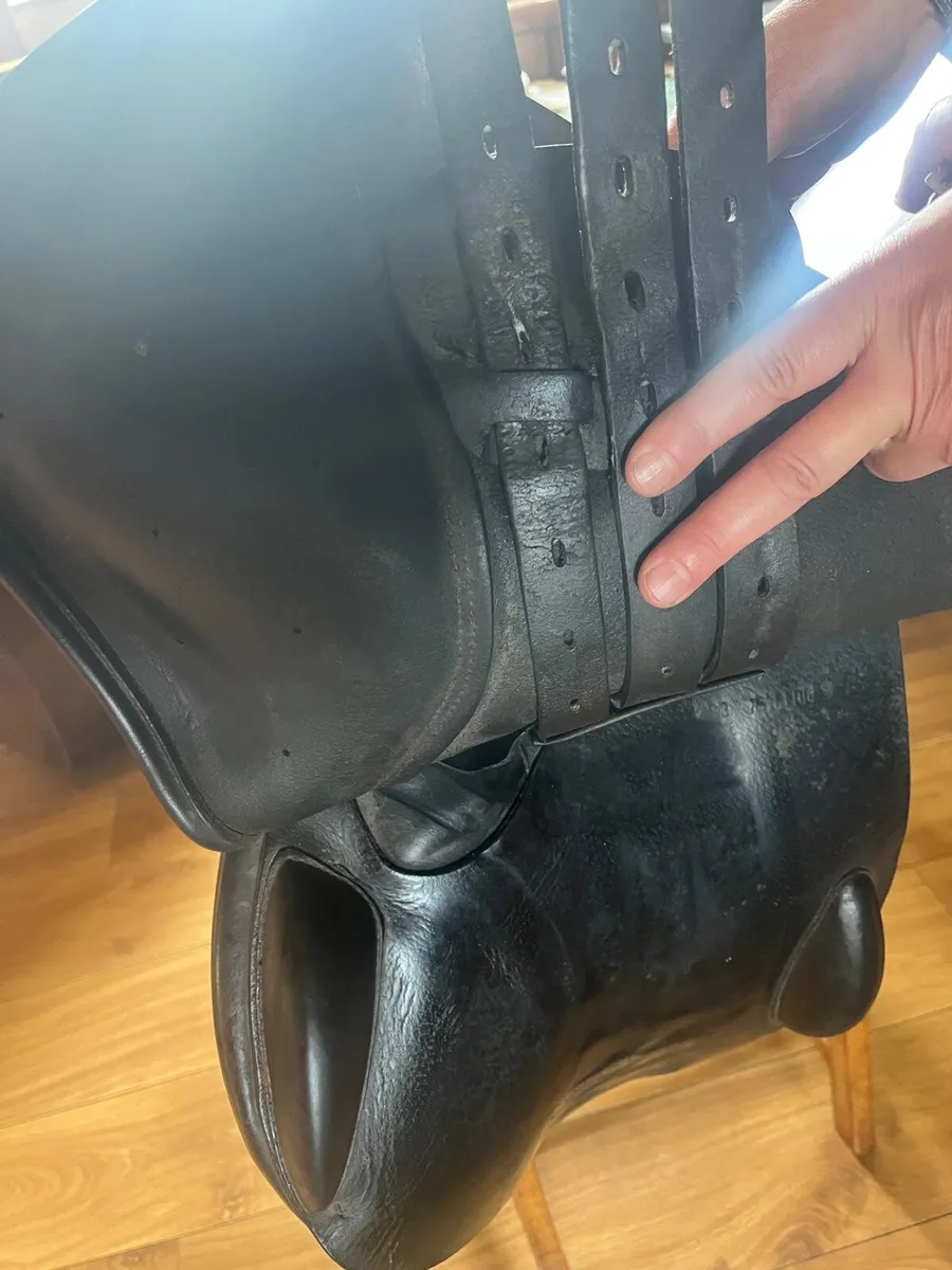 Saddle - Image 4