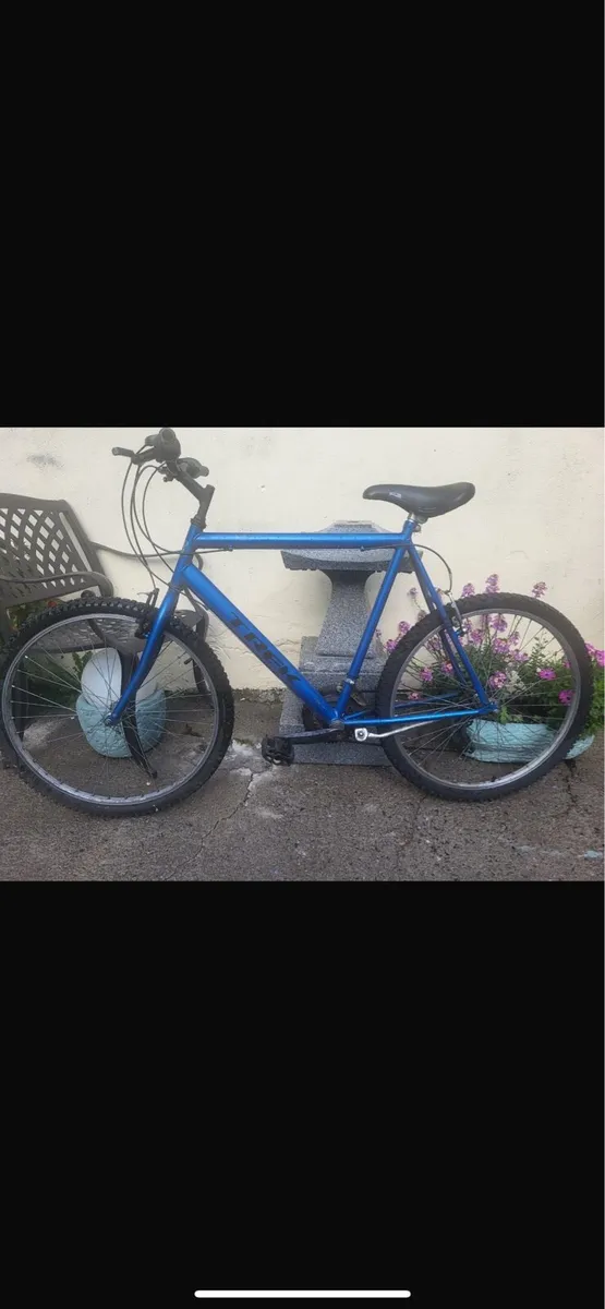 Bikes - Image 1