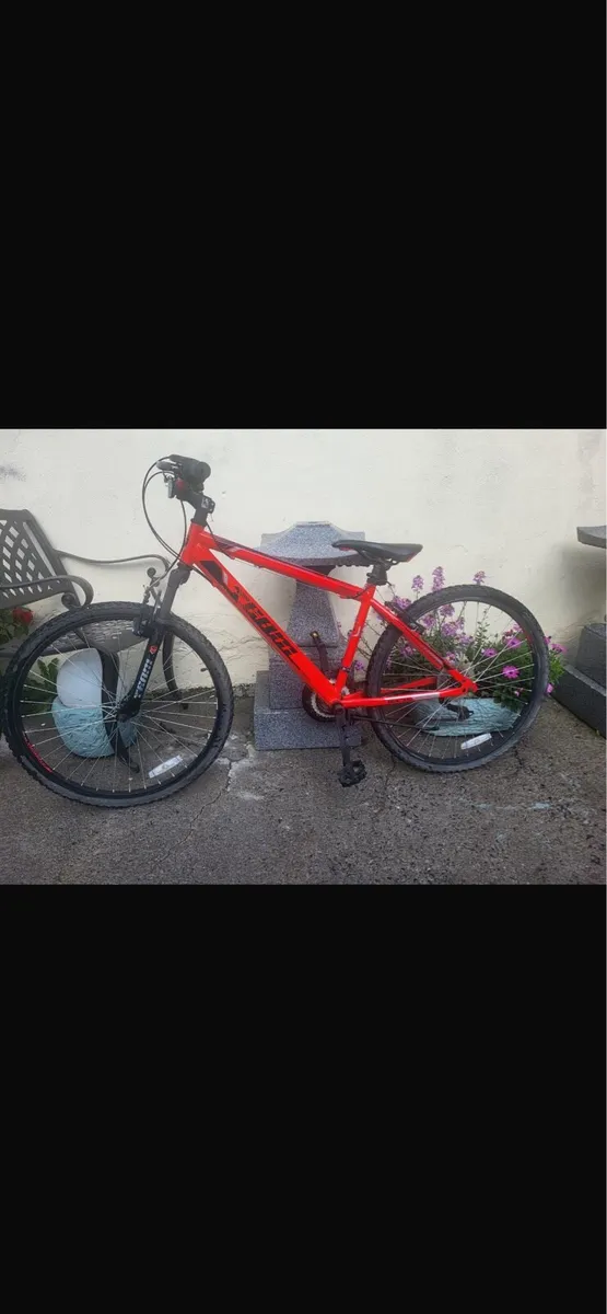 Bikes - Image 3